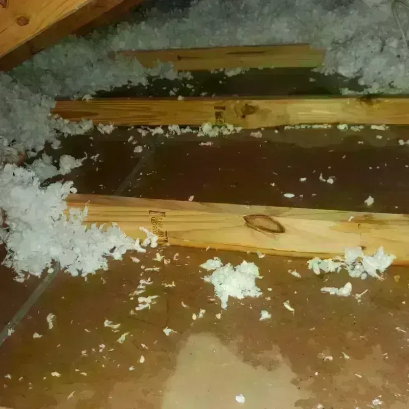 Attic Water Damage in Green Forest, AR