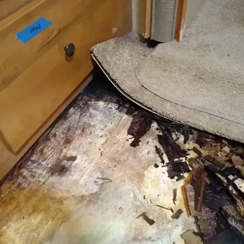 Wood Floor Water Damage in Green Forest, AR